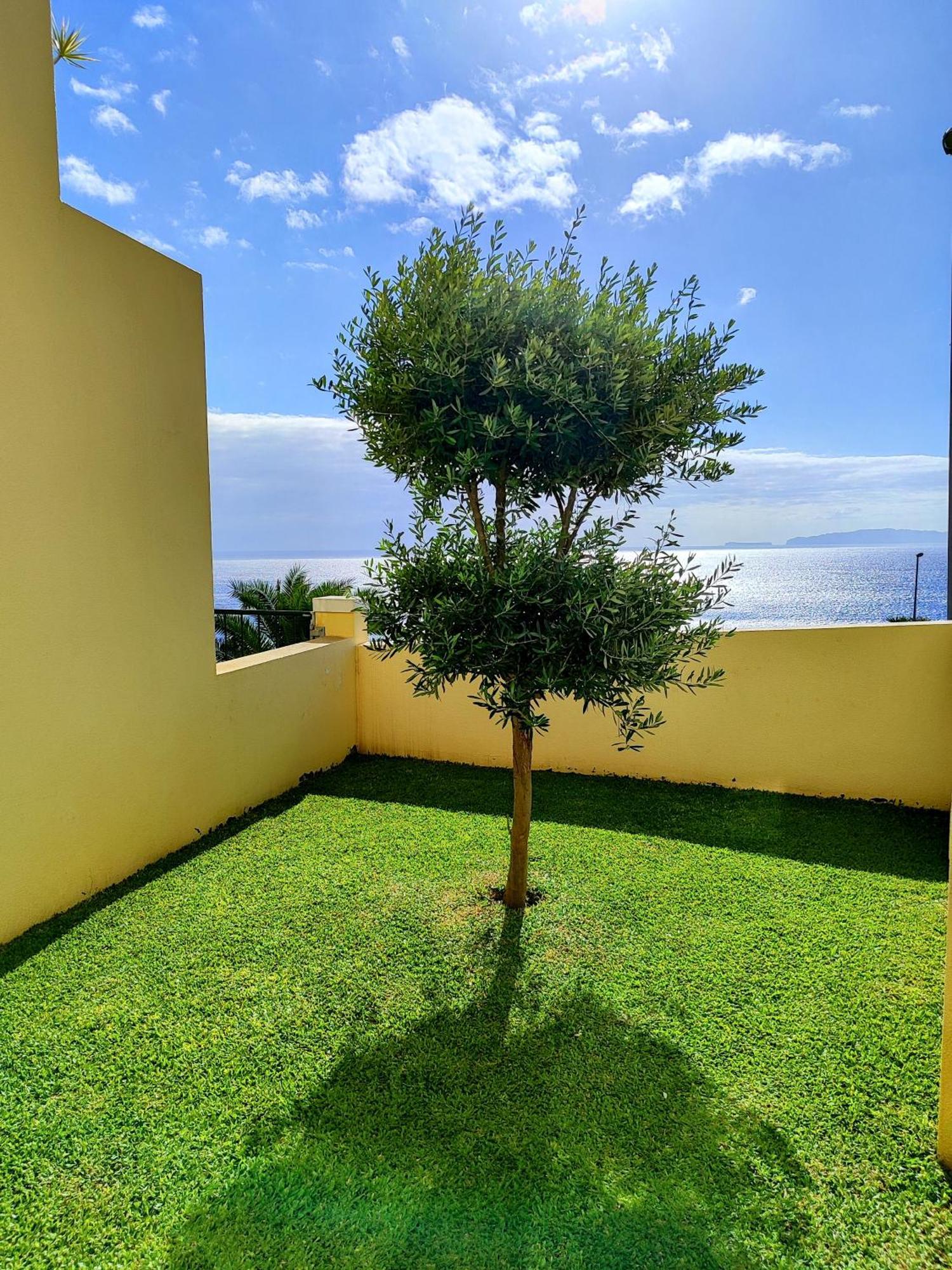 סנטה קרוז Sun Hill Apartment מראה חיצוני תמונה